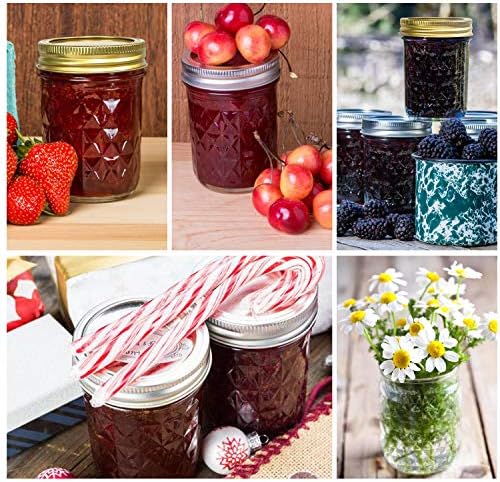 Mason Jars 8 oz 24 Pack Preserve Your Favorites