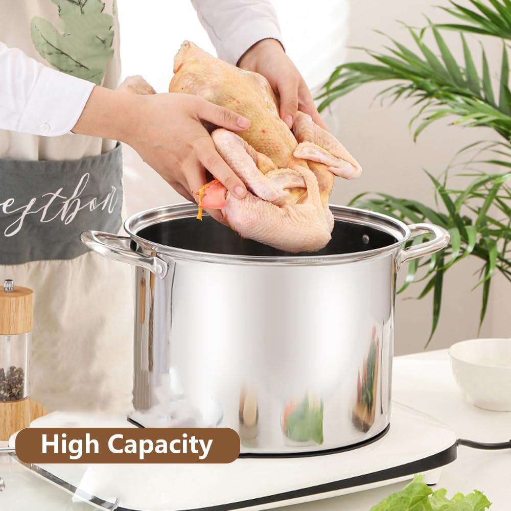 Tri-Ply Stainless Steel Stock Pot with Glass Lid
