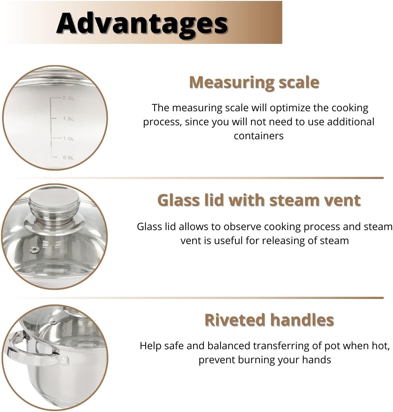 Daniks Standard stainless steel stock pot with glass lid