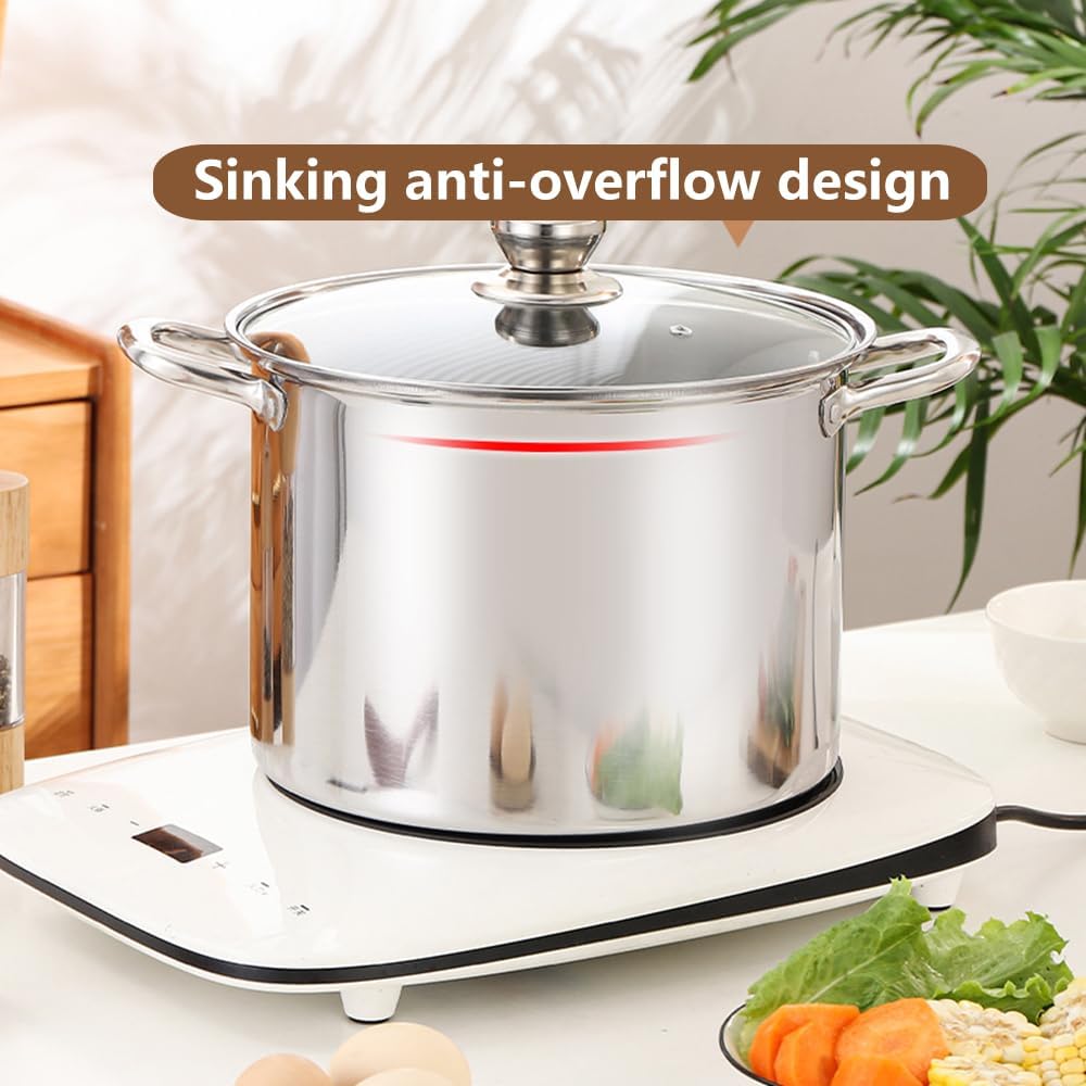 Tri-Ply Stainless Steel Stock Pot with Glass Lid