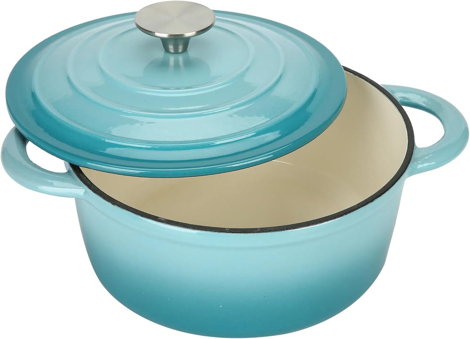 5 Qt Nonstick Cast Iron Stockpot E-coated Durable Heat Retentive