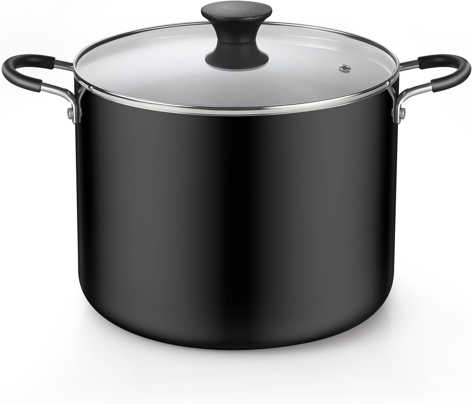 Pro-Style Nonstick Stockpot with Lid