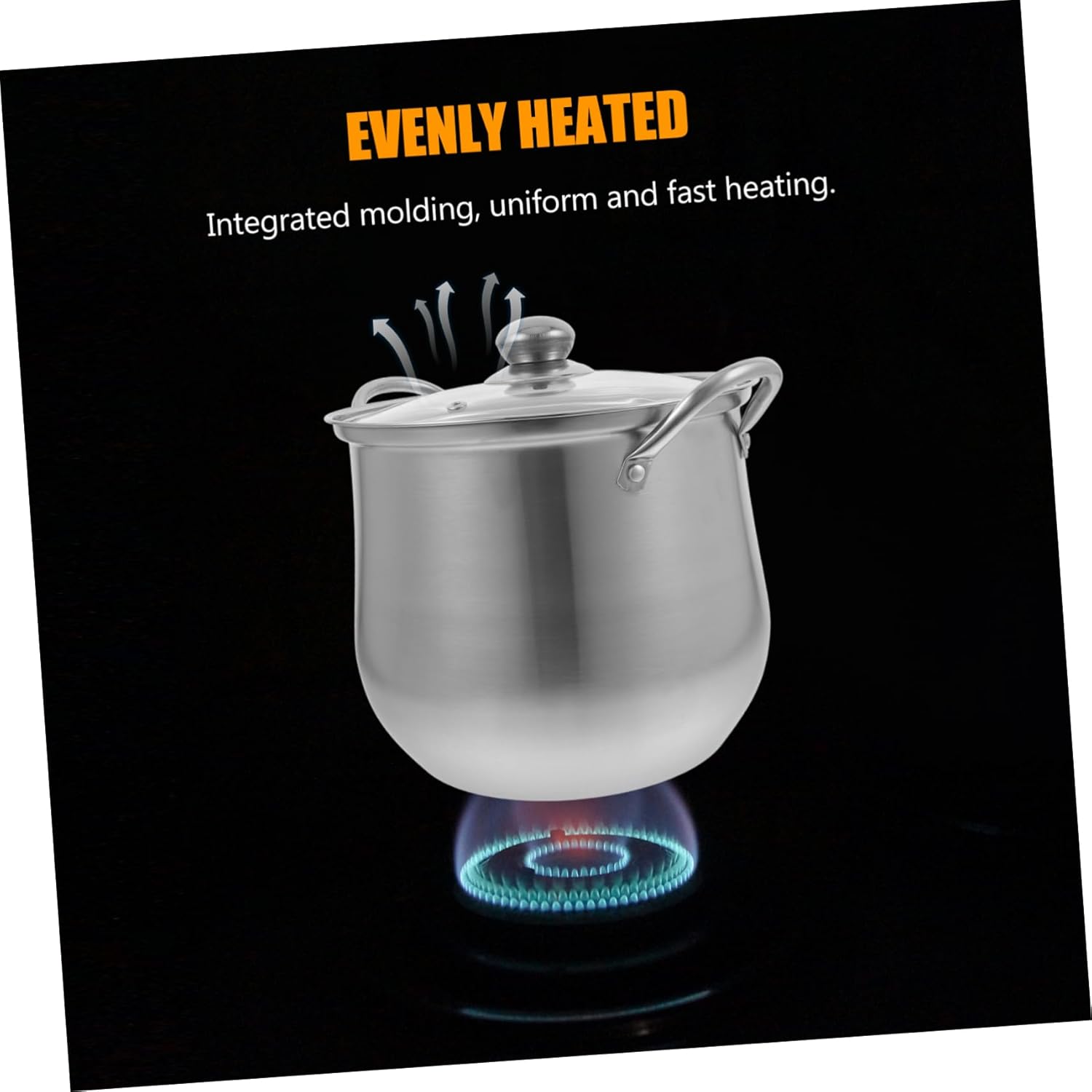 Stainless Steel Stock Pot with Lid
