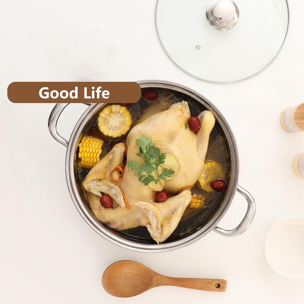 Tri-Ply Stainless Steel Stock Pot with Glass Lid