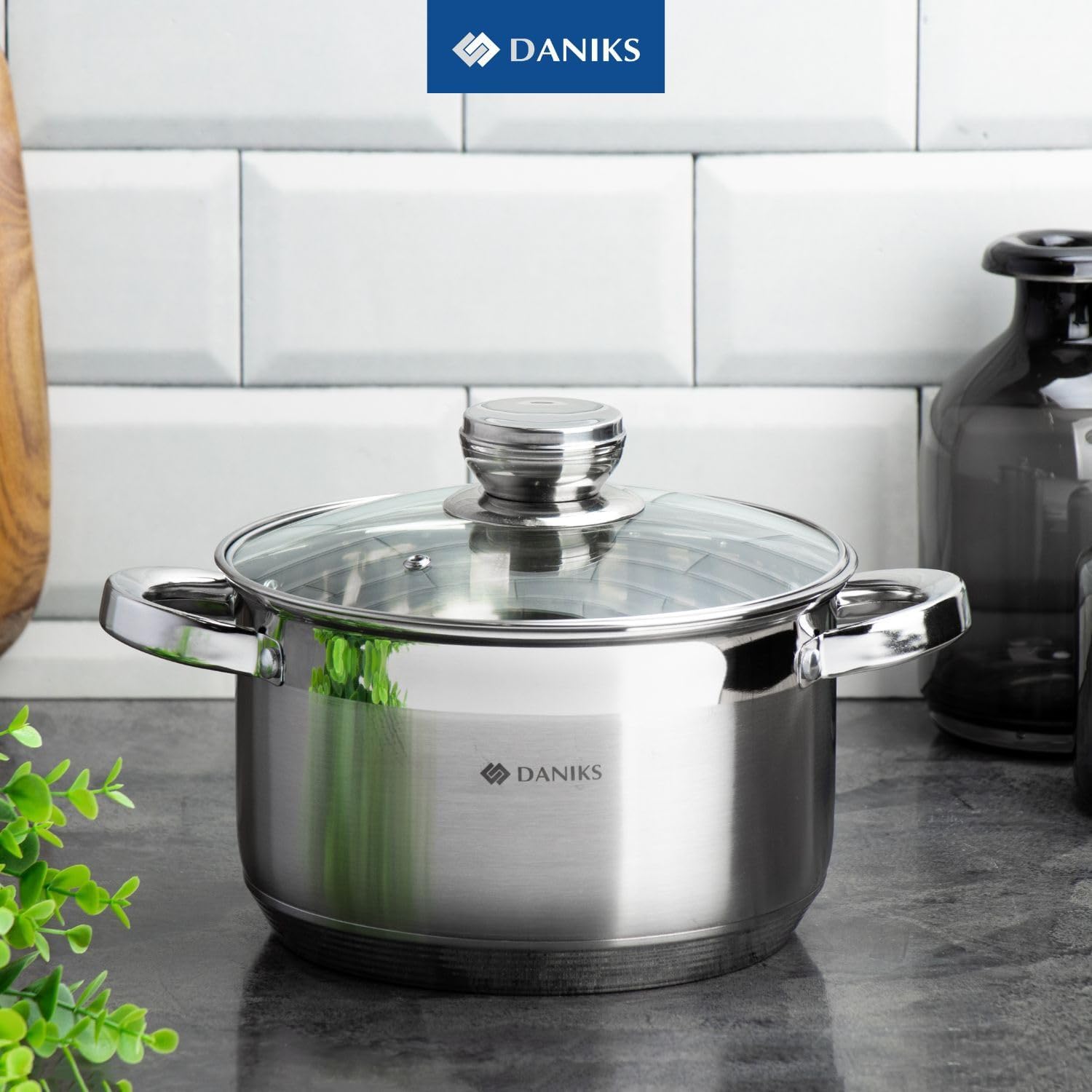 Daniks Standard stainless steel stock pot with glass lid
