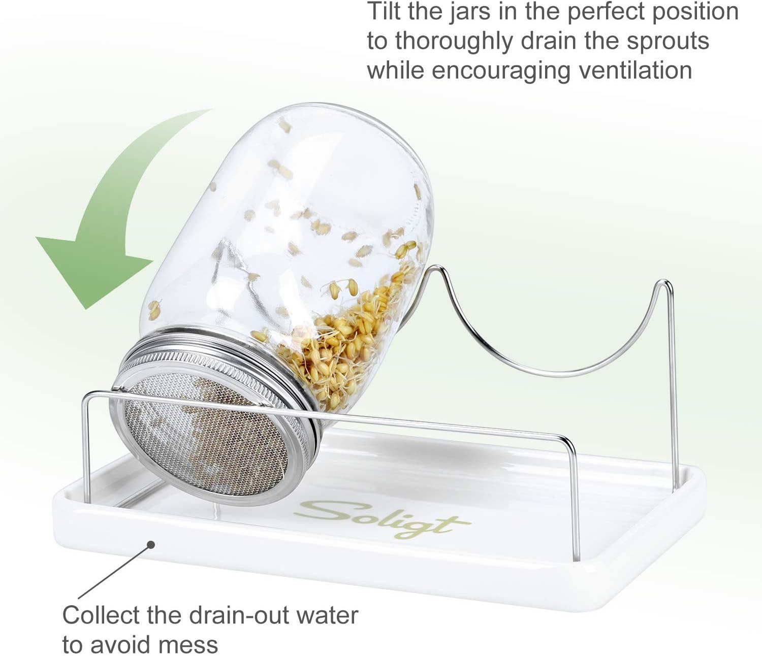 Bright Dependable Mason Jar Sprout Kit for a Lewder Wintry Sprout Journey
