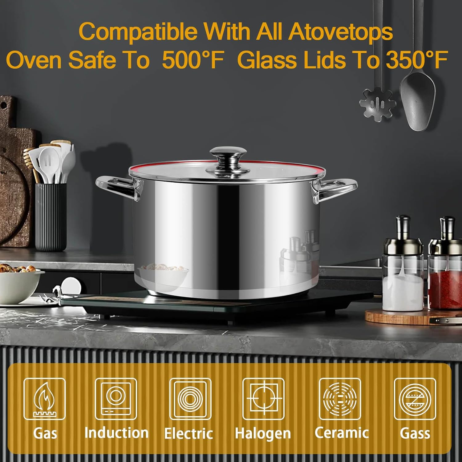 10 QT Stainless Steel Stock Pot