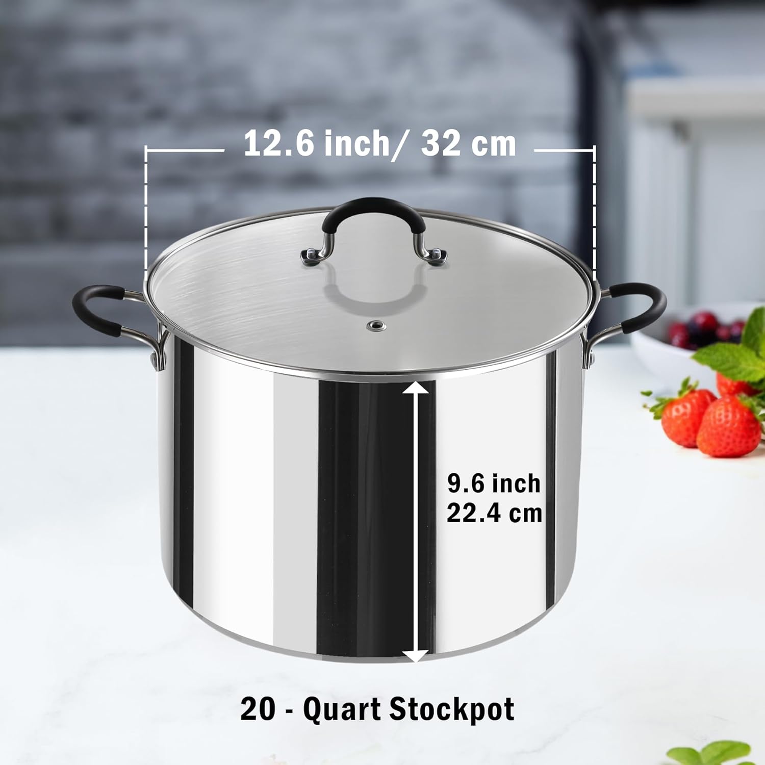 Professional 20 Quart Stockpot with Jar Rack Glass Lid