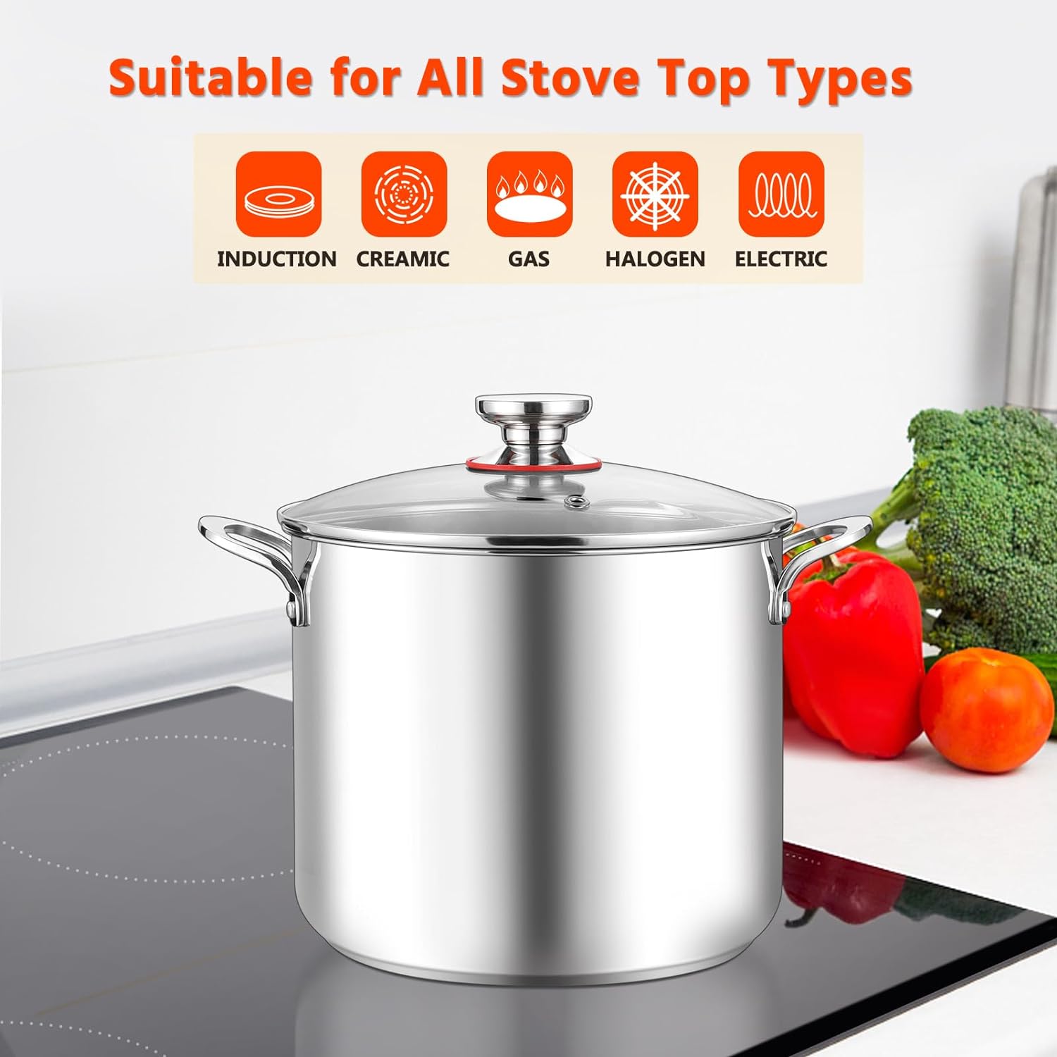 E-far 12-Quart Stock Pot with Lid 1810 Stainless Steel