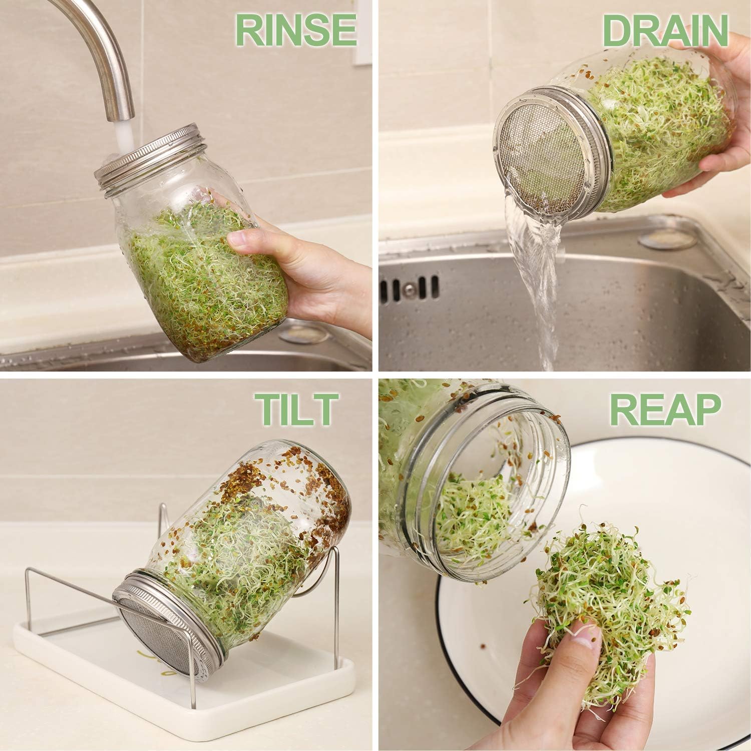Bright Dependable Mason Jar Sprout Kit for a Lewder Wintry Sprout Journey
