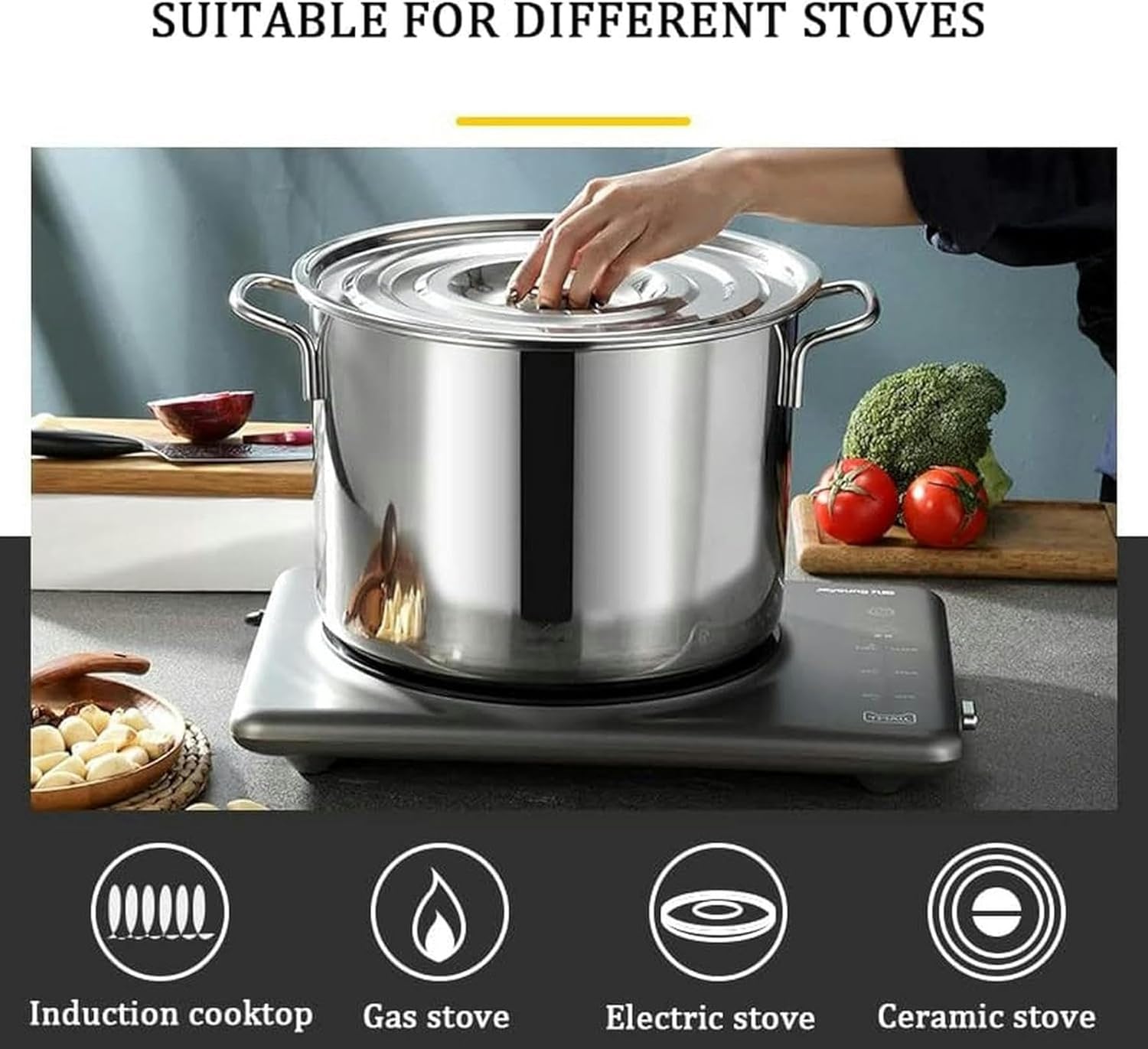 Ultimate Stock Pot for Seaside Ancoties