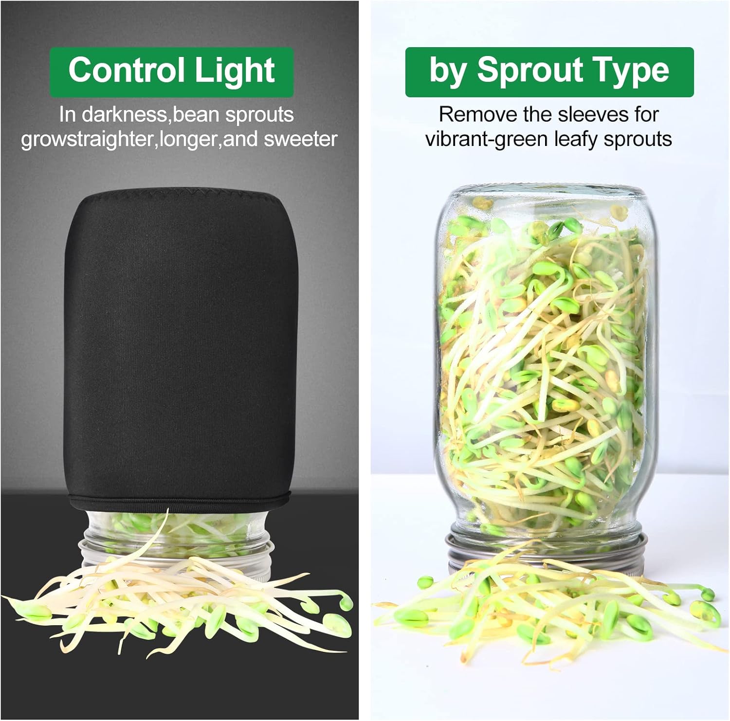 High-Quality Sprouting Jar Kit for Broccoli Alfalfa Mung Bean Seeds