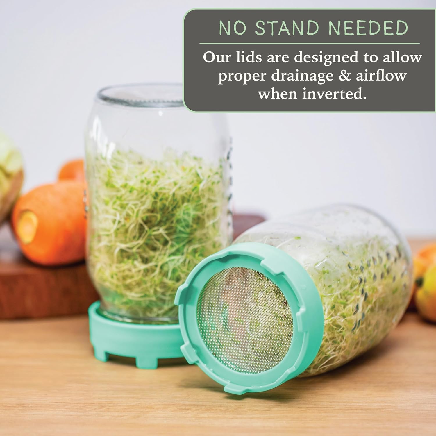 Elementi Sprout Jar Kit for Mason Jars