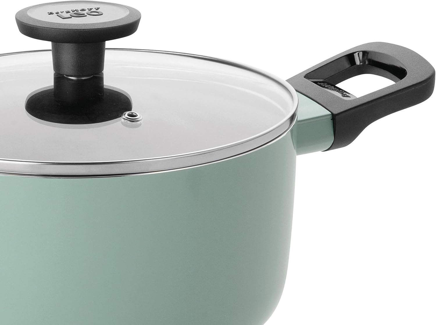 Versatile Sage Non-Stick Stockpot