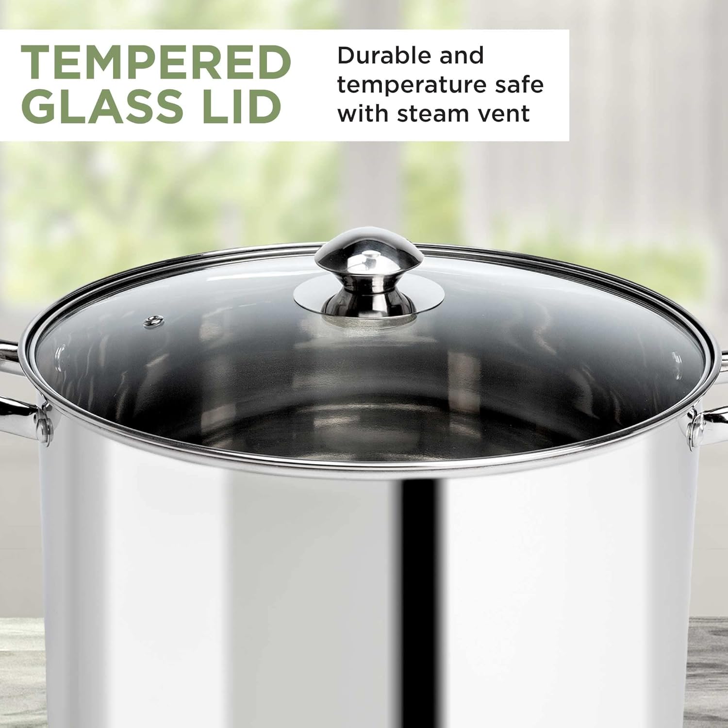 Ecolution Stainless Steel Stock Pot 12-Quart Perfect for everyday cooking