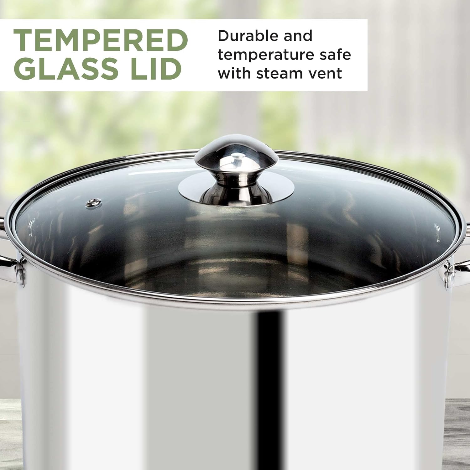 Ecolution Stainless Steel 8-Quart Stockpot by Ecolution