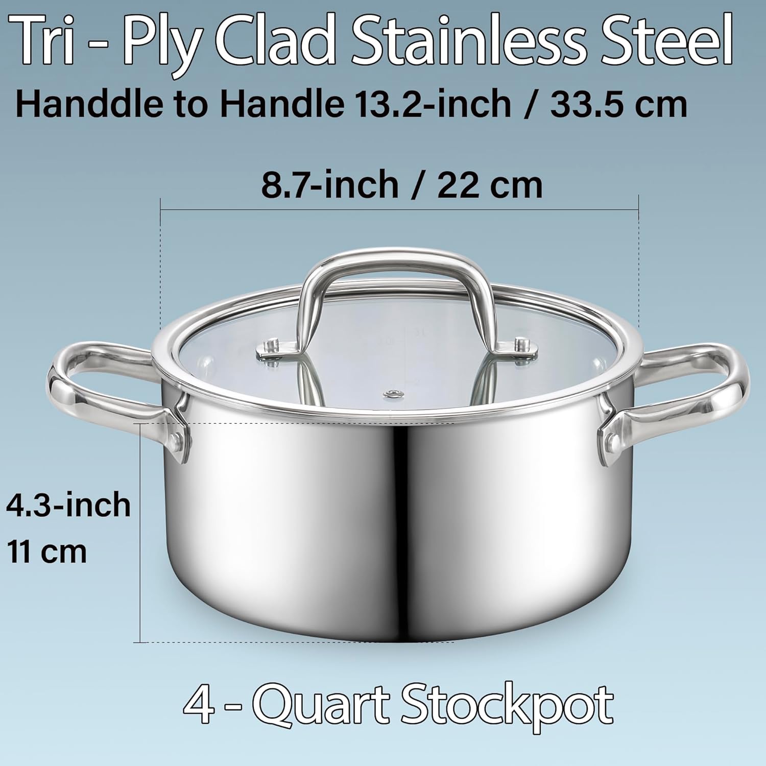Stainless Steel 4 Quart Stockpot with Lid