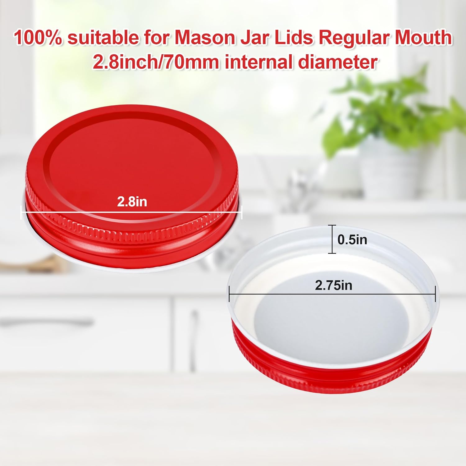 BSL 48-Pack 275 Inch Leak Proof Mason Jar Lids