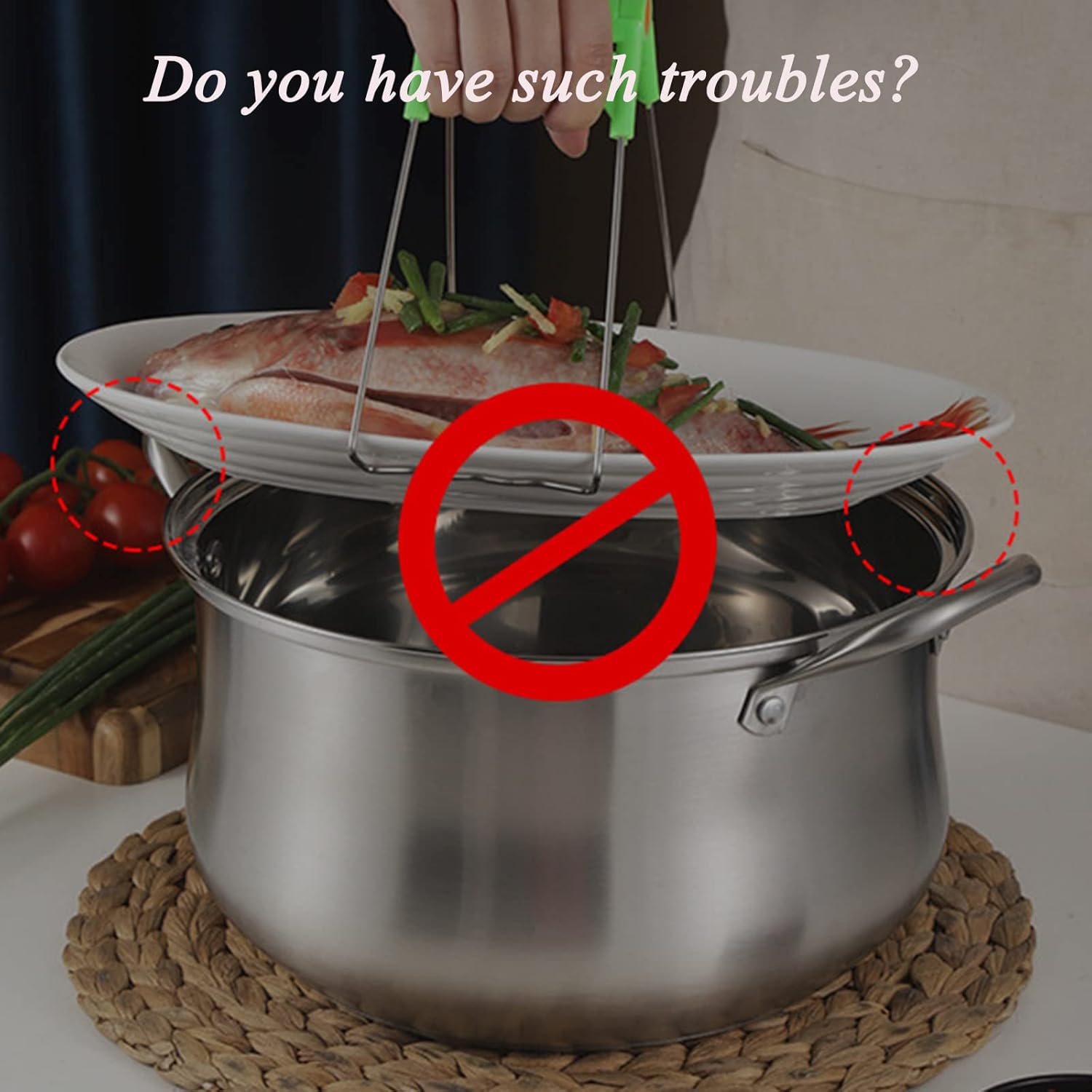 Stainless Steel Fish Steamer