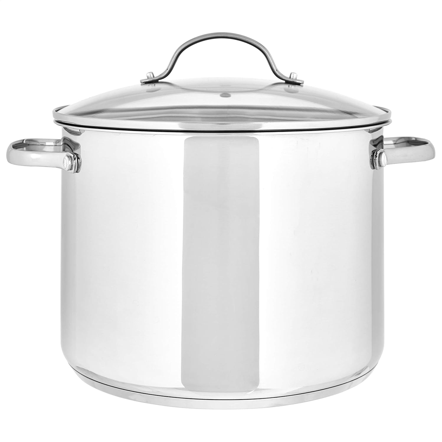 Amazon Basics Stainless Steel Stock Pot with Lid