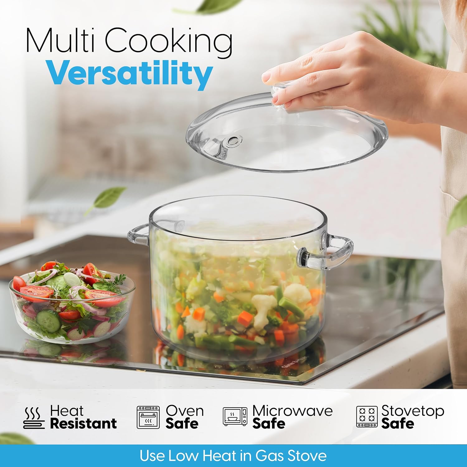 FILULA Heat-Resistant Glass Cooking Pot with Cover