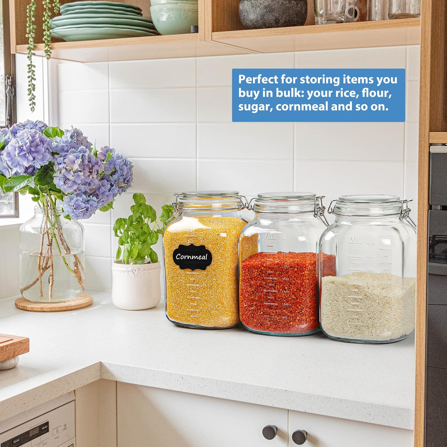 2-Piece 1 Gallon Glass Canning Jars with Airtight Lids