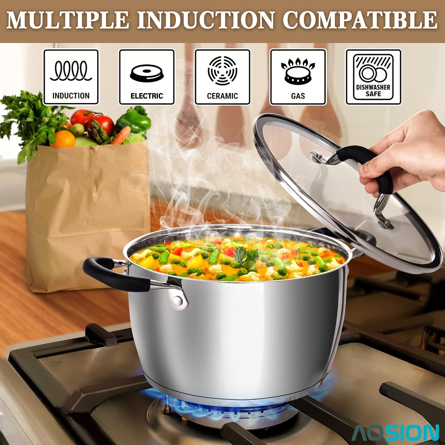 Multi-Purpose 6 Quart Stainless Steel Stockpot with Lid