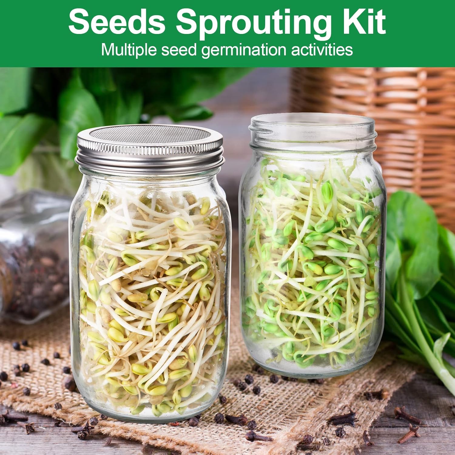 High-Quality Sprouting Jar Kit for Broccoli Alfalfa Mung Bean Seeds