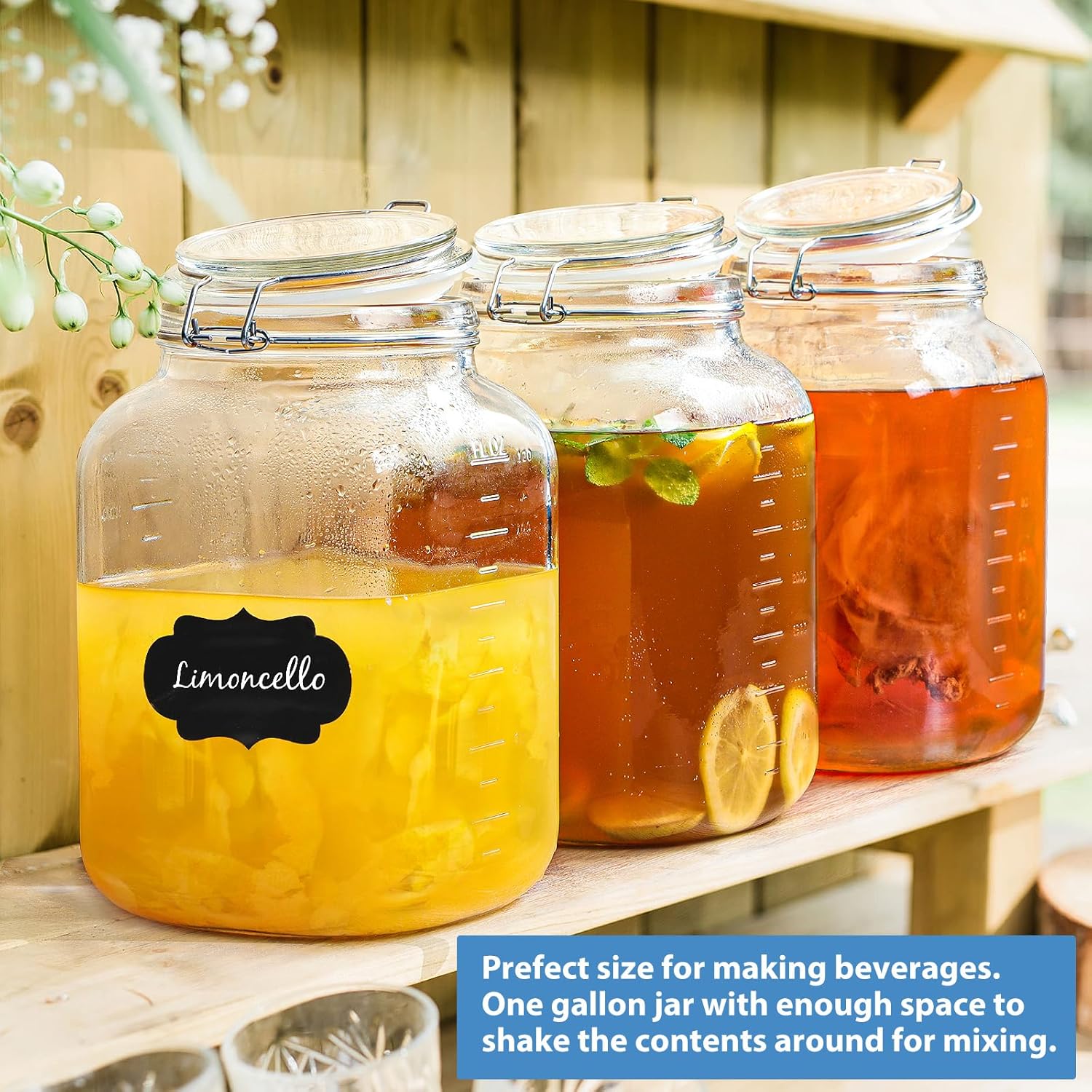 2-Piece 1 Gallon Glass Canning Jars with Airtight Lids