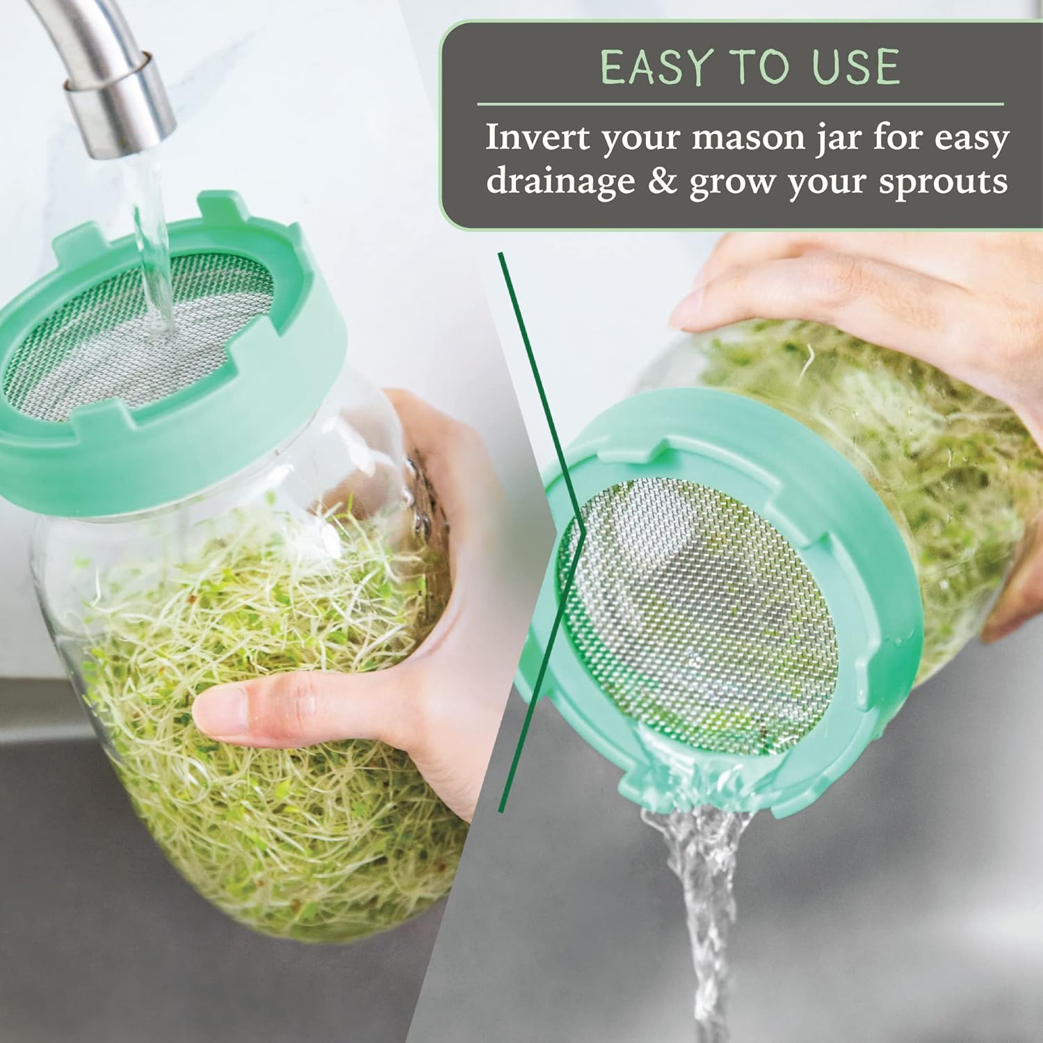 Elementi Sprout Jar Kit for Mason Jars