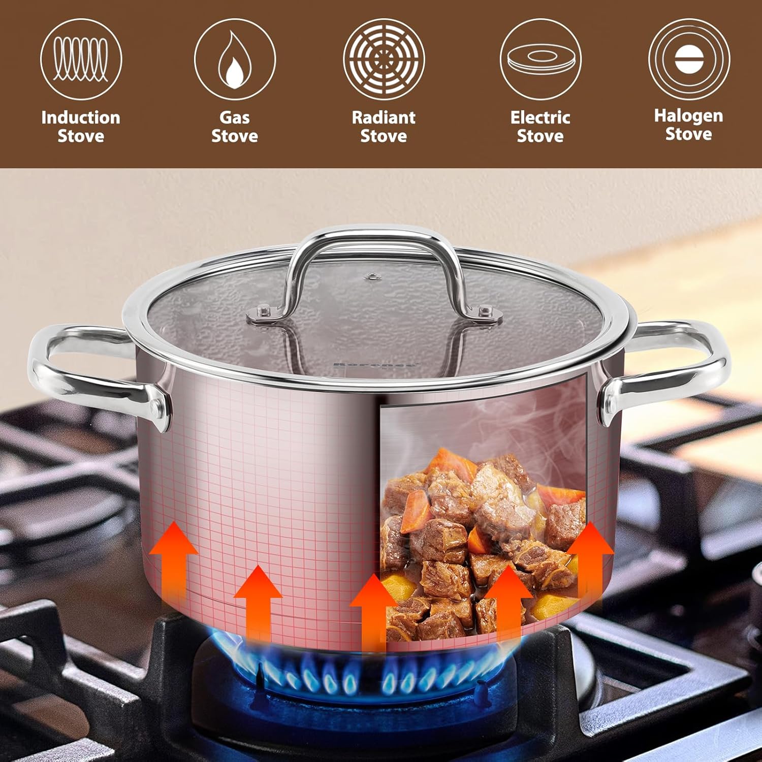 Rorence 6 QT Stockpot with Tempered Glass Lid