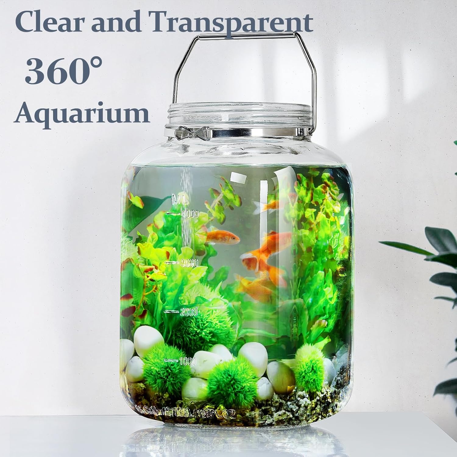 2 Pack 15 Gallon Glass Jars with Airtight Lids and Handles